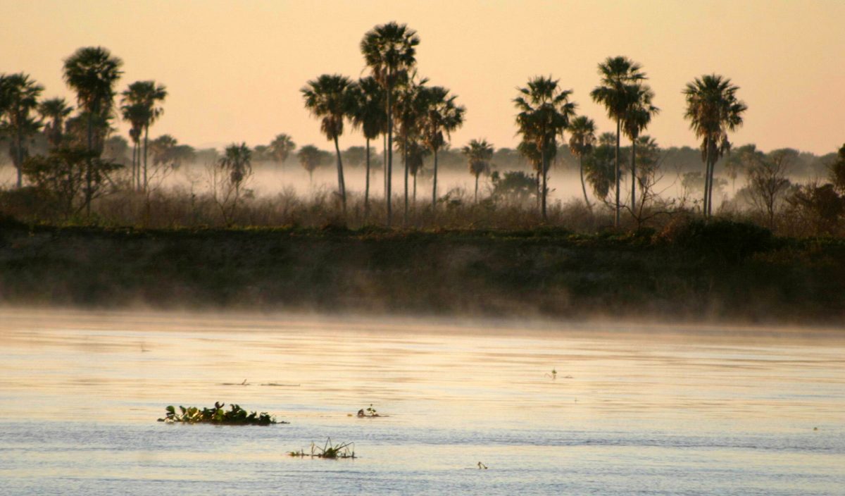 La OEI centrará su iniciativa de divulgación científica en Paraguay en el cambio climático