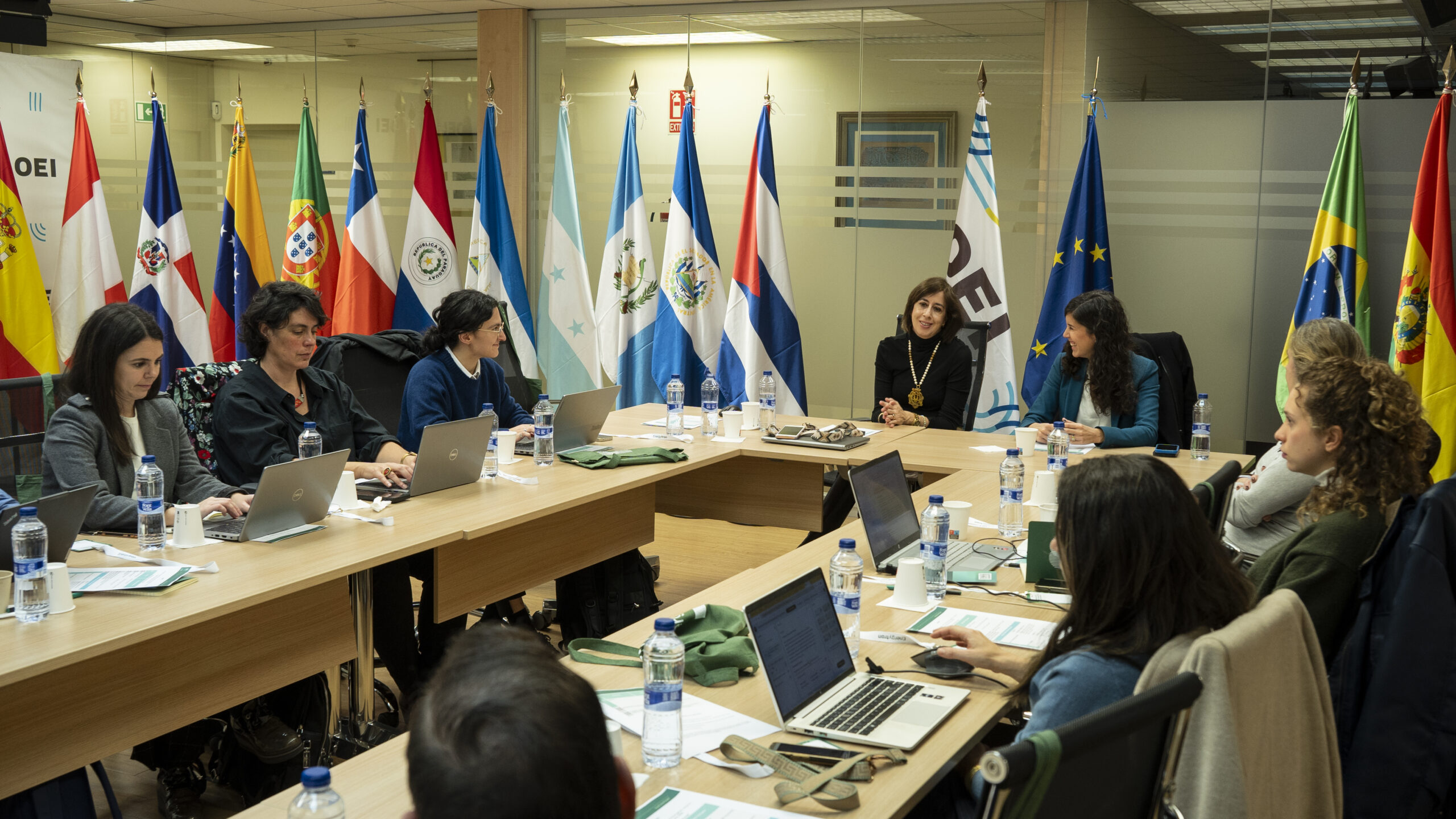 A OEI promoveu em Madrid um encontro nacional sobre cooperação científica e transição energética justa